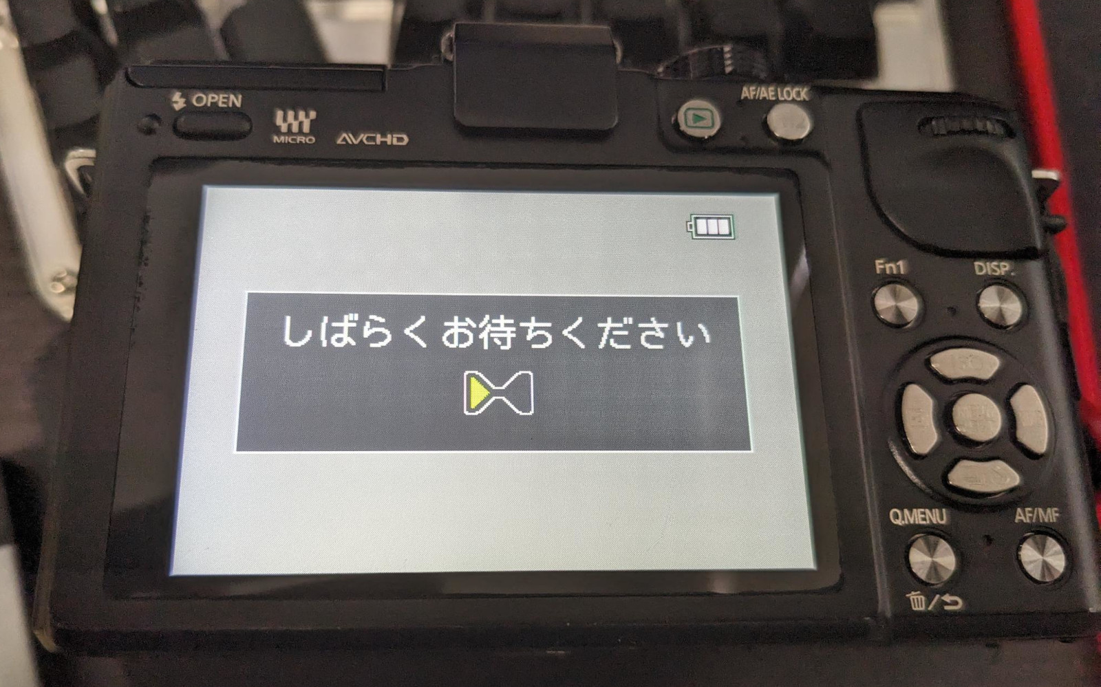 The Panasonic GX1 camera has discovered a firmware file