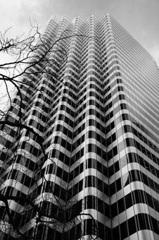 2024-03-01 Skyscraper with Branches