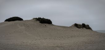 2023-08-27 Dunes